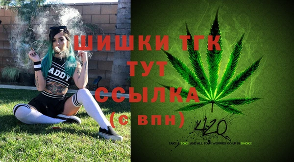винт Армянск