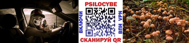 ссылка на мегу онион  Спасск-Дальний  Псилоцибиновые грибы Magic Shrooms 